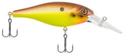 Berkley Bad Shad Medium Diving Crankbait -Fishing Gear Shop brown mustard