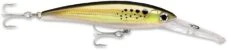 Rapala X-Rap Magnum 40 Big Game Slash Bait -Fishing Gear Shop bunker 628d1cb7 16e9 4812 9d82 e4fb9334c5e2