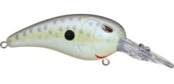 SPRO Mike McClelland RkCrawler 50 Medium Diving Crankbait -Fishing Gear Shop cell mate