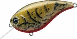 Evergreen International Flat Force 4 Flat-Sided Shallow Diving Crankbait -Fishing Gear Shop ever green ff 216 live crawdad