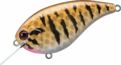 Evergreen International Flat Force 4 Flat-Sided Shallow Diving Crankbait -Fishing Gear Shop ever green ff 392 smallmouth bass