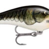 Rapala Fat Rap 05 Deep Diving Crankbait -Fishing Gear Shop fr05cw