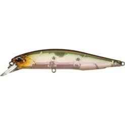 Duo Realis Jerkbait 100SP Suspending -Fishing Gear Shop ghost minnow 27c6426f 1880 4fd8 bd48 44d6ed15bf0b