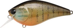 Lucky Craft LC 2.5 Shallow Squarebill Crankbait -Fishing Gear Shop gold pumpkin seed