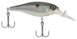 Berkley Bad Shad Medium Diving Crankbait -Fishing Gear Shop midnight pearl