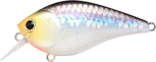 Lucky Craft LC 2.5 Shallow Squarebill Crankbait -Fishing Gear Shop ms 2Bimpulse 2Bshad