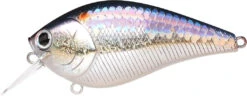 Lucky Craft LC 2.5 Shallow Squarebill Crankbait -Fishing Gear Shop ms american shad