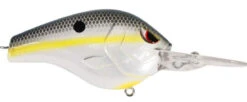 SPRO Fat Papa 70 Deep Diving Crankbait -Fishing Gear Shop nast shad