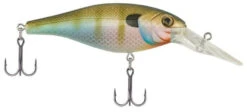 Berkley Bad Shad Medium Diving Crankbait -Fishing Gear Shop natural bluegill