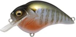 Megabass S Crank 1.2 Shallow Squarebill Crankbait -Fishing Gear Shop s crank secret gill