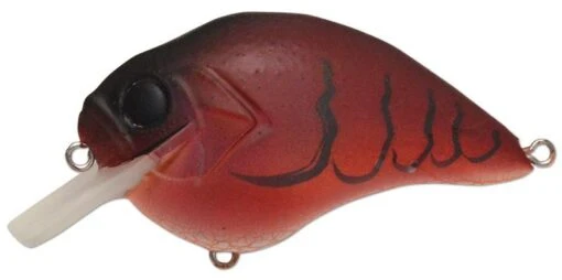 Megabass S Crank 1.2 Shallow Squarebill Crankbait -Fishing Gear Shop s crank fire craw 761a2f94 5d5f 4e2d 9952 64ef592f1134