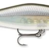 Rapala Shadow Rap Shad Deep 09 Jerkbait -Fishing Gear Shop sdrsd09ghsh Ghost Shiner 52772480 e43d 4f6a 8453 9d72d714b76b