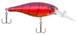 Berkley Bad Shad Medium Diving Crankbait -Fishing Gear Shop special red craw