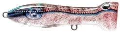 Nomad Design Chug Norris Freshwater/Inshore Popper -Fishing Gear Shop squid surprise