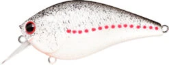 Lucky Craft LC 2.5 Shallow Squarebill Crankbait -Fishing Gear Shop white 2Bshad